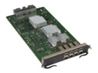 Brocade - Expansionsmodul - 10 Gigabit SFP+ x 8 - för FastIron SuperX 1600, 800, SX800-DC; FastIron SX 1600, 800 SX-FI-8XG