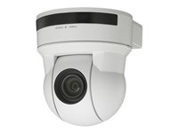 Sony EVI D80P/W - CCTV-kamera - PLZ - färg - 550 TVL - S-video, komposit - DC 12 V EVI-D80PW