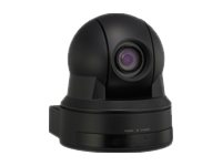 Sony EVI-D80P - Övervakningskamera - PLZ - färg - 550 TVL - S-video, komposit - DC 12 V EVI-D80P