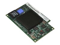 Emulex 8Gb Fibre Channel Expansion Card (CIOv) for IBM BladeCenter - Värdbussadapter - 8Gb Fibre Channel - för BladeCenter HC10; HS22; HS23 7875 46M6140