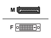 Fujitsu - DisplayPort-kabel - DisplayPort (hane) till DVI-D (hona) - för Celsius W5011; ESPRIMO D6011, D7010, D7011, D9010, D9011, G5011, P5011, P7011, P9011 S26361-F2391-L200