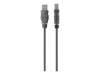 Belkin - USB-kabel - USB (hane) till USB typ B (hane) - USB 2.0 - 3 m - träkol F3U154CP3M