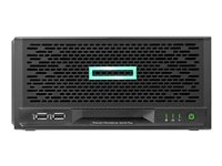 HPE ProLiant MicroServer Gen10 Plus Entry - ultramikrotorn - Pentium Gold G5420 3.8 GHz - 8 GB - ingen HDD P16005-421