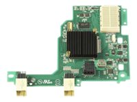 Emulex 10GbE Virtual Fabric Adapter II for IBM BladeCenter HS23 - Nätverksadapter - PCIe 2.0 x8 - 10 GigE, FCoE - 2 portar - för BladeCenter HS23 7875 81Y3120