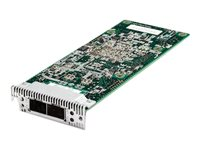 QLogic Dual Port 10GbE SFP+ Embedded VFA - Nätverksadapter - Advanced Mezzanine Card (AMC) - 10 GigE - 2 portar - för System x3550 M4; x3650 M4; x3650 M4 HD 90Y6454