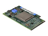 QLogic 4Gb Fibre Channel Expansion Card (CIOv) for BladeCenter - Värdbussadapter - PCIe 2.0 - 8 Gb fiberkanal - för BladeCenter HC10; HS22; HS23 7875 46M6065
