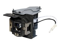 BenQ - Projektorlampa - 190 Watt - 4500 timme/timmar (standard läge) / 6000 timme/timmar (strömsparläge) - för BenQ MS500H, MS513P, MX514P 5J.J6H05.001