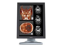 Barco Nio Color 2MP HB MDNC-2121 - LCD-skärm - 2 x 2MP - färg - 21.3" K9603015