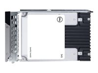 Dell - Kundsats - SSD - krypterat - 960 GB - hot-swap - 2.5" - SAS - FIPS 140 - Self-Encrypting Drive (SED) - för PowerEdge C6420 (2.5") 345-BCFU