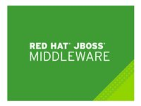 JBoss Data Grid - Standardabonnemang (1 år) - 64 kärnor MW0929366