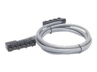 APC Data Distribution Cable - Nätverkskabel - RJ-45 (hona) till RJ-45 (hona) - 11.3 m - UTP - CAT 5e - grå DDCC5E-037