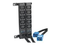 HPE Standard Extension Bar - Expansionsmodul till strömförsörjningsenhet (kan monteras i rack) - ingång: IEC 60320 C19 - utgångskontakter: 5 (power IEC 60320 C13) (paket om 2) - för HPE 600; ProLiant c3000, for Microsoft Azure Stack; Synergy 12000 Frame; UPS R7000, R8000 AF528A