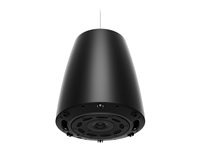 Bose DesignMax DM6PE - Högtalare - 100 Watt - 2-vägs - koaxial - bose svart (paket om 2) 841168-0110