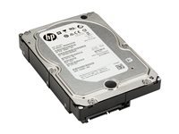 HP - Hårddisk - 4 TB - inbyggd - 3.5" - SATA 6Gb/s - 7200 rpm - buffert: 128 MB - för Workstation Z2 G4, Z2 G5, Z2 G8, Z2 G9, Z4 G4, Z4 G5, Z6 G4, Z8 G4, Z8 G5; ZCentral 4R K4T76AA