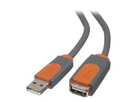 Belkin PRO Series USB Extension Cable - USB-förlängningskabel - USB (hane) till USB (hona) - USB 2.0 - 1.8 m - formpressad CU1100CP1.8M