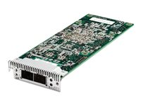 Emulex Dual Port 10 GbE SFP+ Embedded VFA IIIr for IBM System x - Nätverksadapter - PCIe 2.0 x8 låg profil - 10Gb Ethernet x 2 - för System x iDataPlex dx360 M4 7912; System x3550 M4 7914; x3650 M4 7915 00Y7730