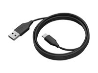 Jabra - USB-kabel - 24 pin USB-C (hane) till USB typ A (hane) - USB 3.0 - 2 m - för PanaCast 50, 50 Room System 14202-10