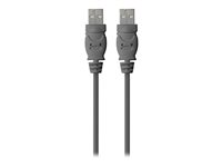 Belkin - USB-kabel - USB (hane) till USB (hane) - USB 2.0 - 1.8 m F3U131BT1.8M