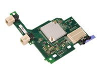 Brocade 2-port 10GbE Converged Network Adapter for IBM BladeCenter - Nätverksadapter - PCIe 2.0 x8 - FCoE - 2 portar - för BladeCenter HS22; HS22V; HS23 7875 81Y1650