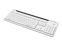 Fujitsu KB520 - Tangentbord - USB - schweizisk - marmorgrå - för PRIMERGY RX350 S8, SX350 S8, TX100 S3p, TX120 S3p, TX140 S1p, TX140 S2, TX200 S7, TX300 S8 S26381-K520-L170