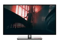 Lenovo ThinkVision P27q-30 - LED-skärm - QHD - 27" 63A2GAT1EU