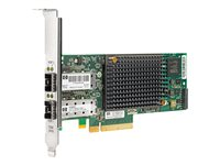 HPE - Nätverksadapter - 10 GigE - 2 portar - för LeftHand P4300, P4500 AX705A