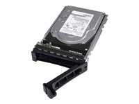 Dell - Hårddisk - 1 TB - hot-swap - 2.5" (i 3,5-tums hållare) - SATA 6Gb/s - 7200 rpm - för PowerEdge C6420 (3.5") 400-ATJH