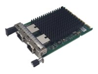 FUJITSU PLAN EP Intel X710-T2L - Nätverksadapter - 10GbE - för PRIMERGY RX2530 M6, RX2540 M6 PY-LA342