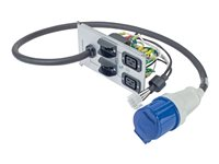 APC - Grenuttag - AC 230 V - ingång: ström - utgångskontakter: 3 (IEC 60320 C19, IEC 60309) - för Symmetra RM 12kVA, 2kVA, 4kVA, 6, 8kVA SYPD10