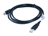 D-Link - USB-kabel - USB (hane) till USB typ B (hane) - USB 2.0 - 4.57 m DUB-C5AB