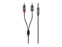 Belkin - Ljudkabel - RCA x 2 hane till mini-phone stereo 3.5 mm hane - 1.8 m AV10092BT1.8M